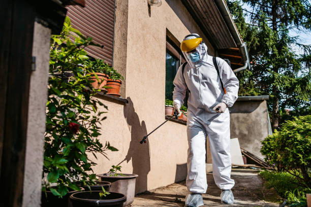 Best Commercial Pest Control Services  in Huntingtown, MD
