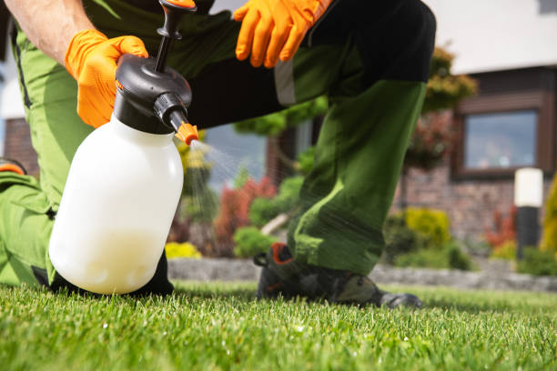 Best Local Pest Control Services  in Huntingtown, MD