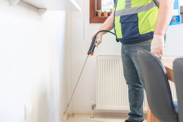 Flea Control Services in Huntingtown, MD