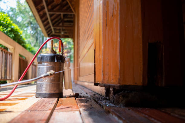 Best Pest Removal Services  in Huntingtown, MD