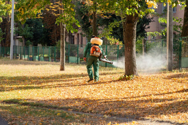 Reliable Huntingtown, MD Pest Control Solutions