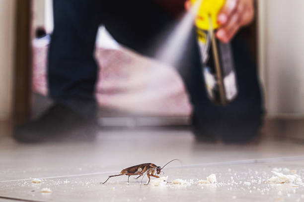 Best Residential Pest Control  in Huntingtown, MD