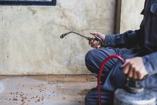 Best Residential Pest Control  in Huntingtown, MD